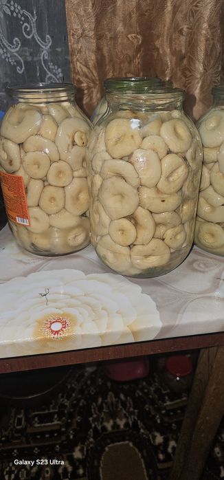 Продам грибы грузди !!!