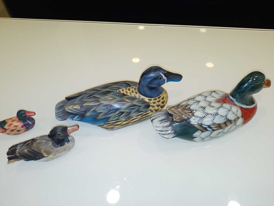 Rate/Pasari Decor Gradina