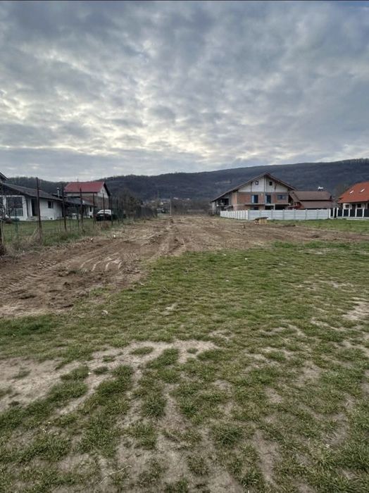 Vand Teren in Bujoreni 49 € m²