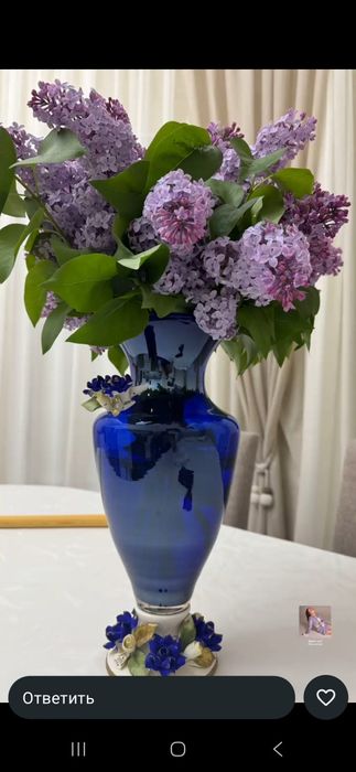 Сирень 1000тг ...и вышеее