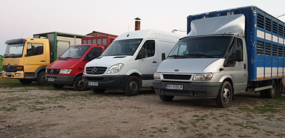 Transport animale vii .vaci cai porci oii.etc.intern extern