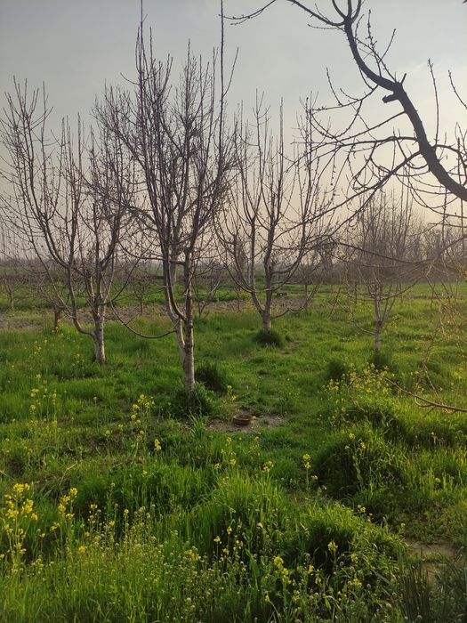 продаётся земля 5 соток