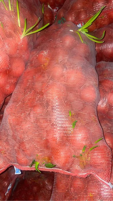 Лук оптом почти бесплатно