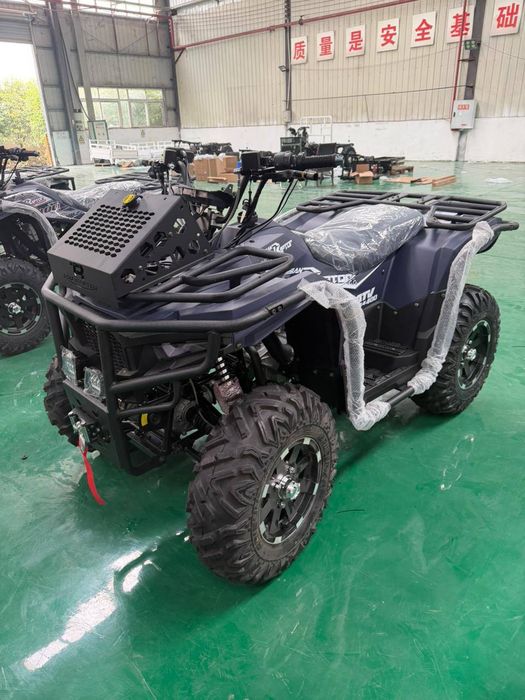 Asian Raptor квадроцикл