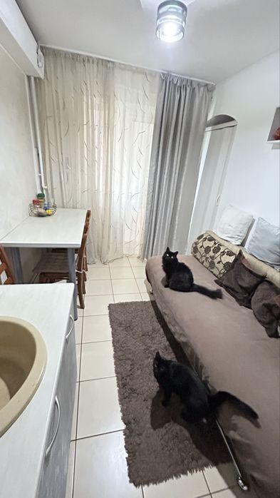 Apartament 2  camere