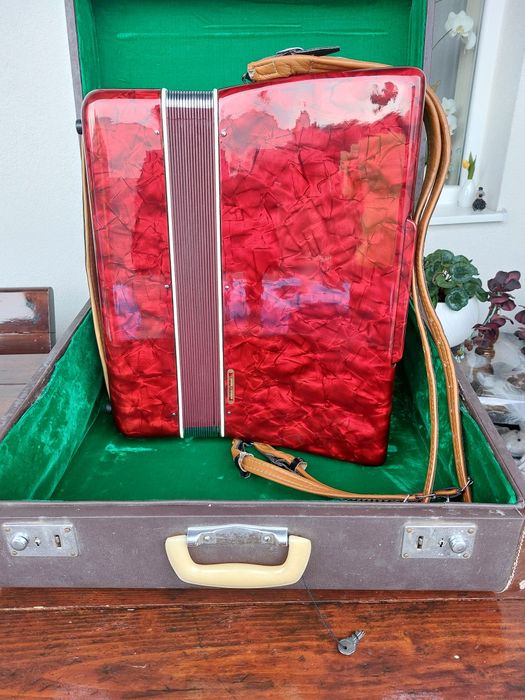 Acordeon Parrot 120 basi