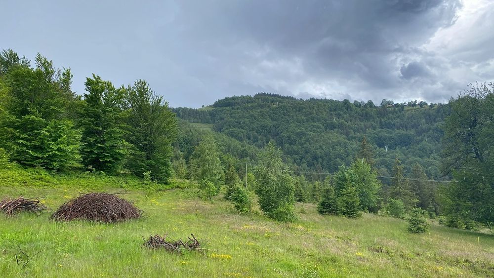 Teren 30.000 mp de vânzare – Garda de Sus, Alba | Utilități | Parcelabil | Investiție Turistică