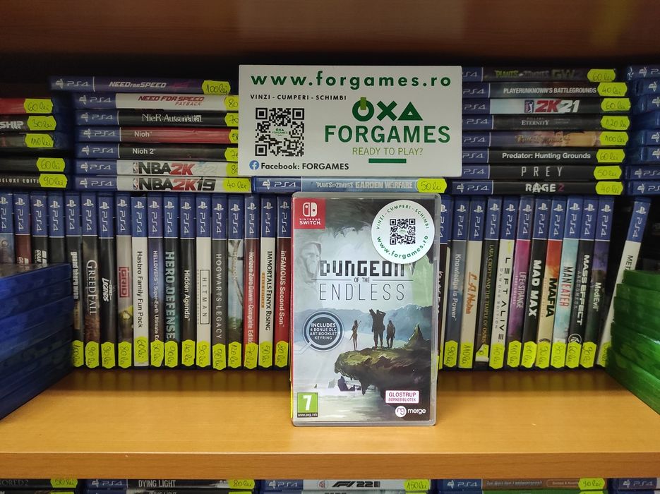 Joc Nintendo Switch Dungeon on The Endless Forgames.ro