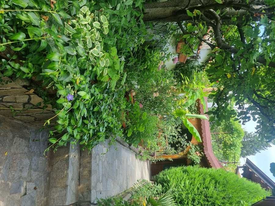 Продава се Къща в Пловдив, Център - 174 кв.м за 478 €/кв.м - Снимка #2