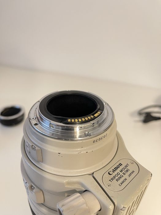 Canon EF 100-400mm f/4.5-5.6L IS USM