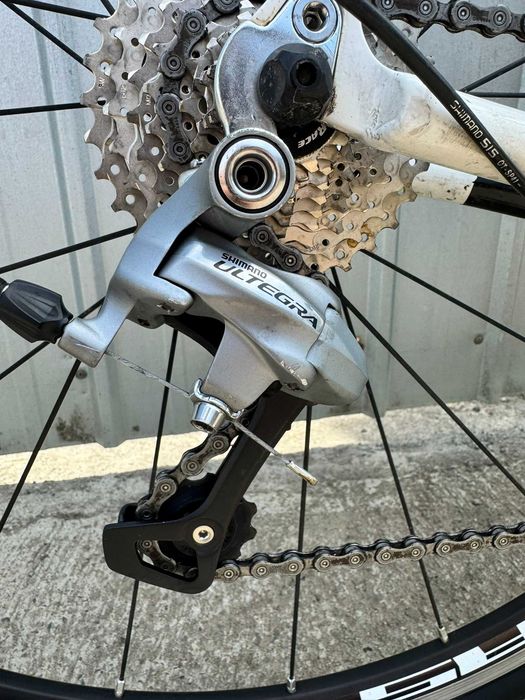 Cursiera Bulls Desert Falcon 1