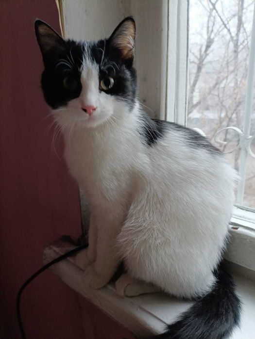 В самые ответственные руки