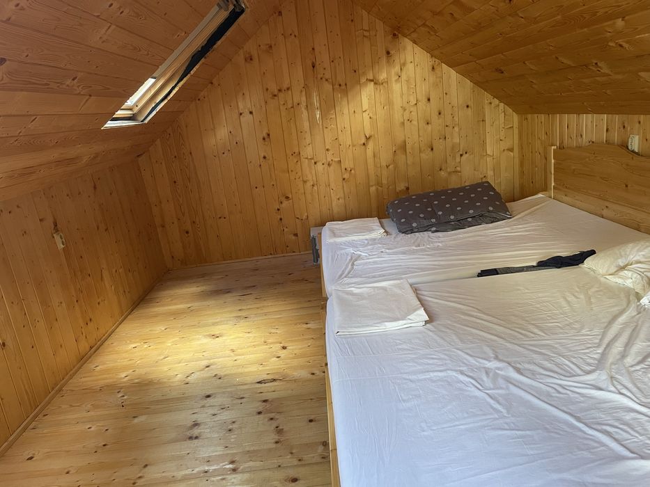 Oportunitate Rara – Cabana izolata in padure, teren 1000mp, la 10 minute de partie, Marisel