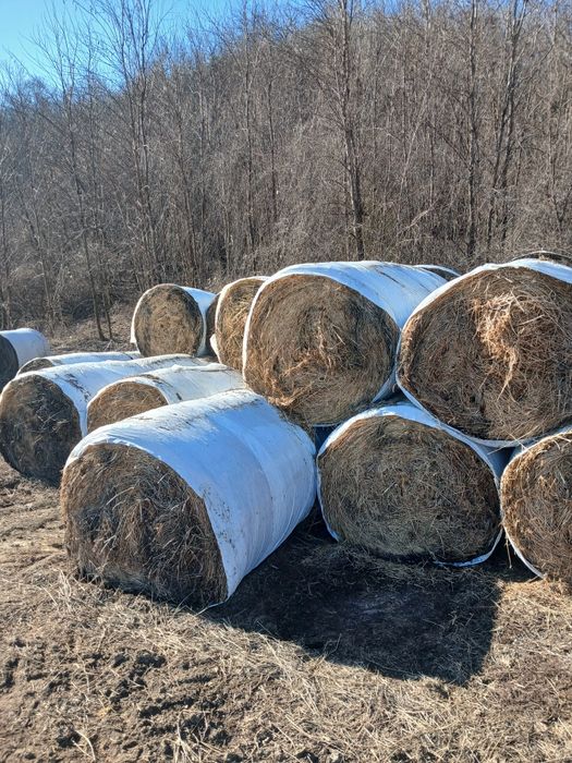 Vand baloti Fân si Lucerna