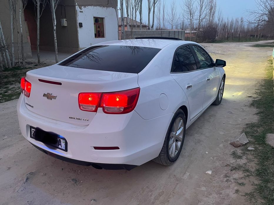 Malubi 1 3 pozirsiya