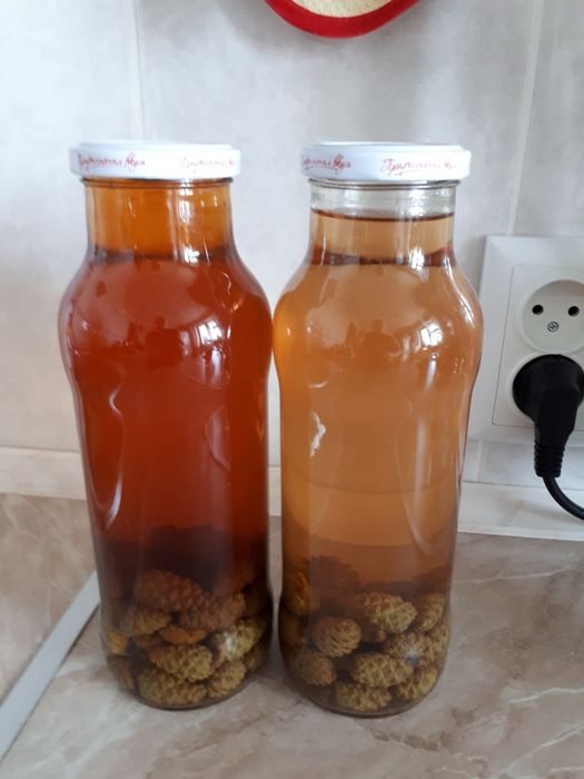 Сосновый сироп,настойка