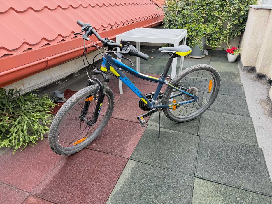 GIANT 24" pentru copii