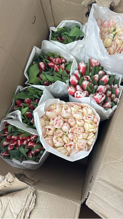 тюльпаны по 350тг