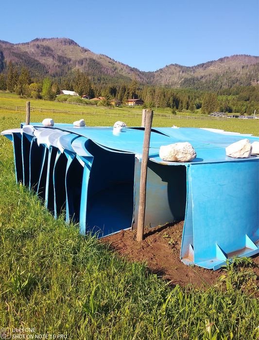 Bazine Polipropilena