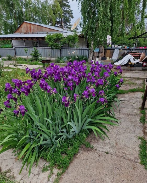 Продам или обменяю дом