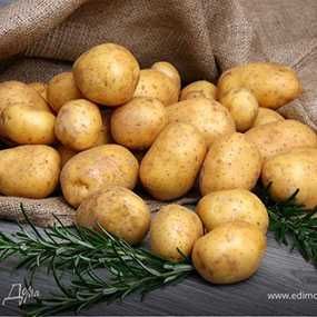 Минеральные удобрения (Mineral oʻgʻitlar) Сульфат калия, НПК 18:18:18