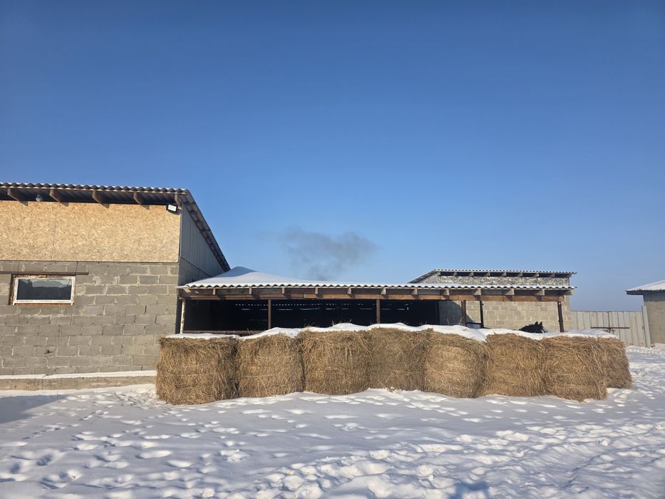 Участок 10 соток