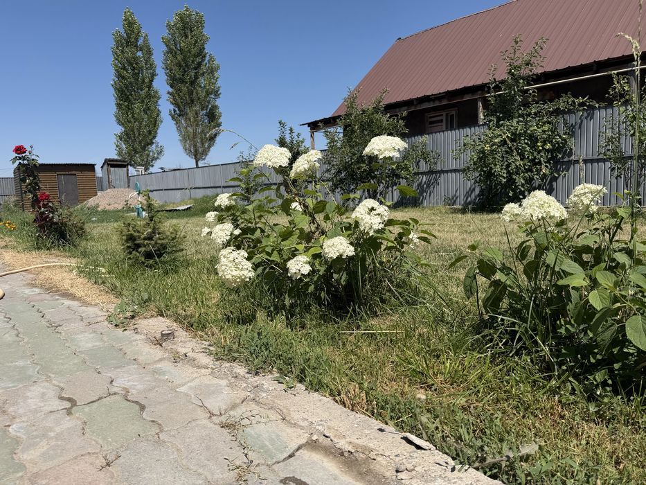 Продается дом, обмен на квартиру