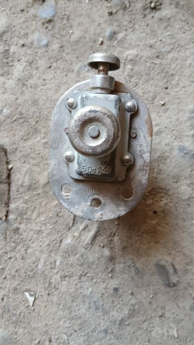 Massa kulichatel 53 zillarga