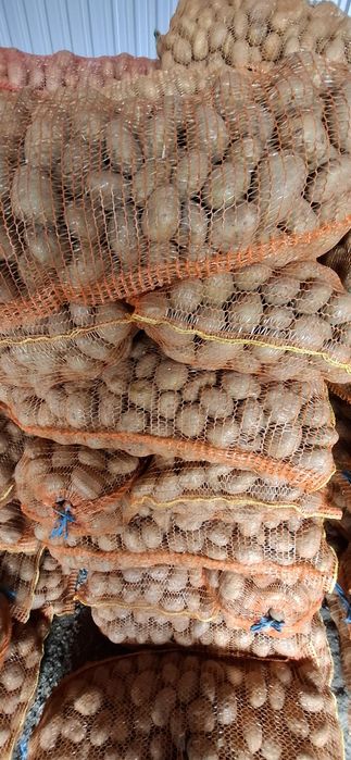 Cartofi pentru animale