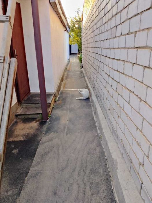 Продам коттедж на 91 кв