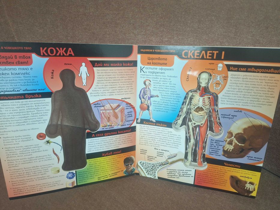 Детска енциклопедия