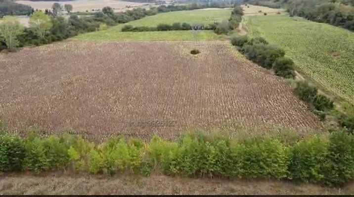 Продава се Парцел в Разград, Освобождение - 35046 кв.м за 10 €/кв.м - Снимка #9