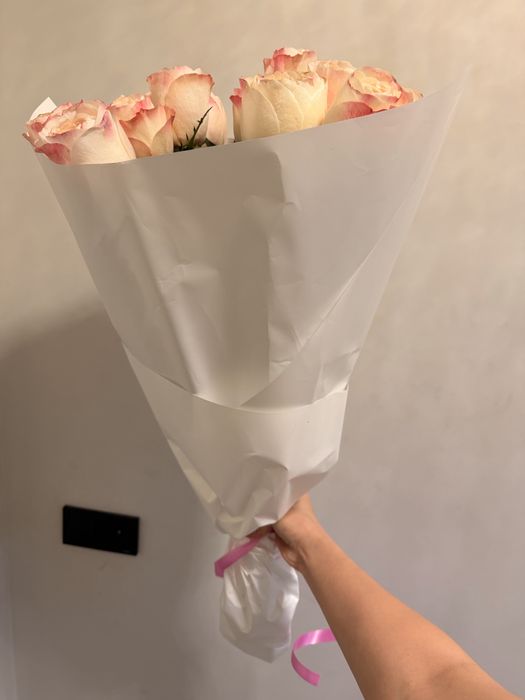 Свежиие красивые