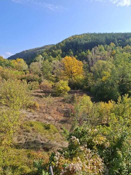 Къща с двор за продажба в с. Светля, Община Ковачевци.