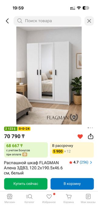 Распашной шкаф FLAGMAN