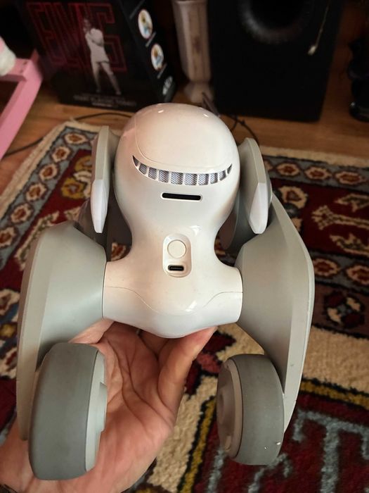 Robot Loona, interactiune inteligenta Chat GPT
