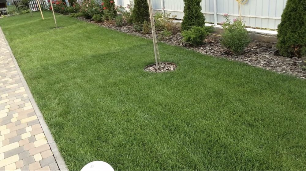 Газон под ключ !любые обемы