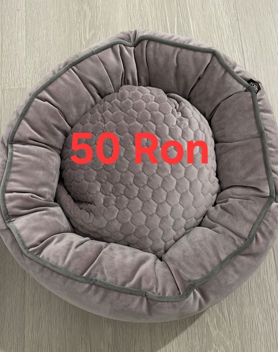 Patut pisici albastru