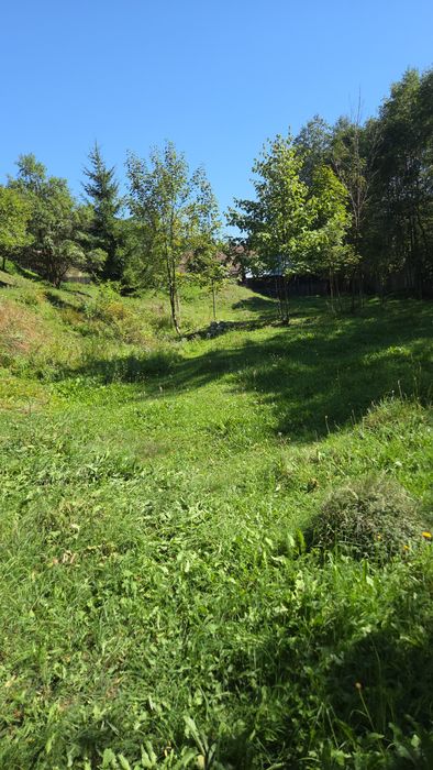 Teren intravilan