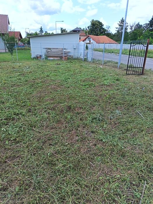 Preturi mici la defrișări,toaletat copaci, cosit,curățat terenuri, gos
