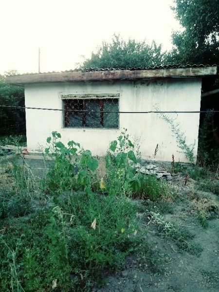 Продам дачу. алматы  алексеевские дачи дорожник - Ansicht 6