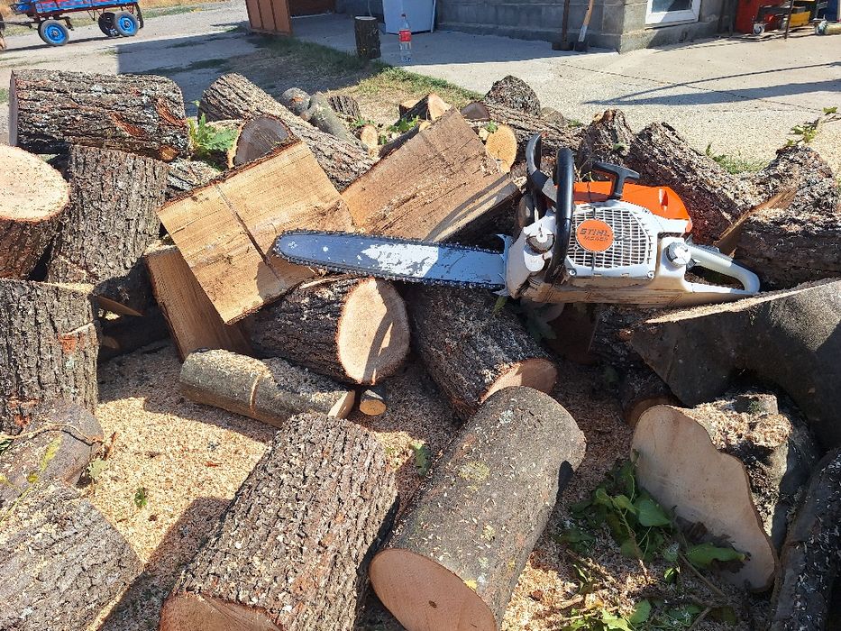 Рязане на дърва за огрев по домовете .