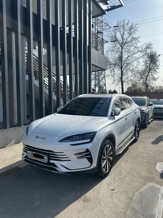 Byd chempion gibrid 2024 yil 150 tali