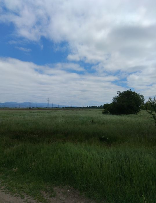 Продава парцел в гр.София,Требич