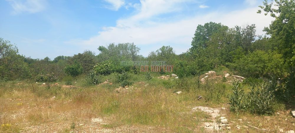 Продава се Парцел в с. Кривня, Област Варна - 2620 кв.м за 10 €/кв.м - Снимка #1