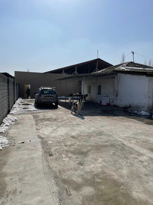 Участок 17 соток