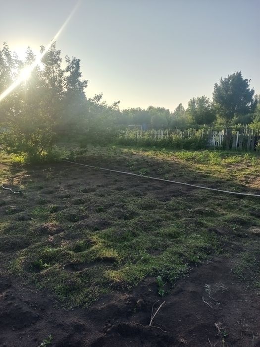 Дача сад Здоровье