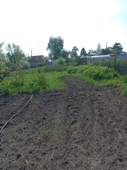 Продам дау С.О. Элеваторщик