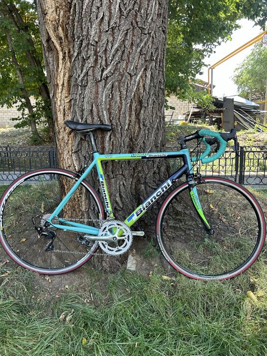 Bianchi via nirone 2010