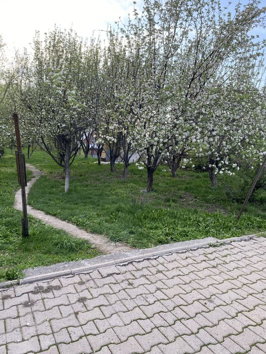 Продам Дом большой